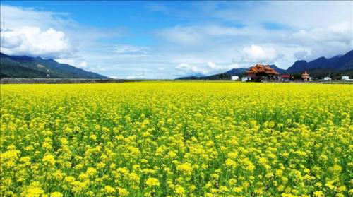 生活在農(nóng)村種植創(chuàng)業(yè) 種什么賺錢呢？