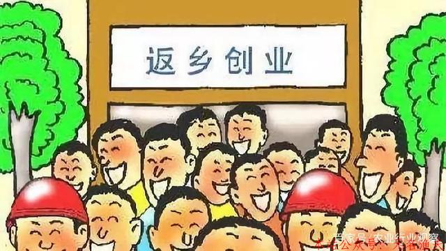 返鄉(xiāng)創(chuàng)業(yè)失敗率90%！我們從10個失敗案例中總結(jié)了5點(diǎn)原因