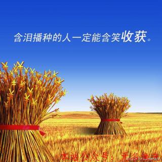 讓你日入一萬的秘密，淺談小峰創(chuàng)業(yè)匯對付出的看法