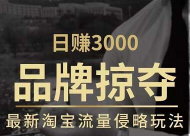 日賺3000+品牌店群，最新淘寶流量侵略玩法（官方售價3600元）