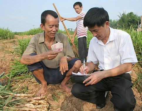 創(chuàng)業(yè)課堂分享未來農(nóng)村幾個賺錢項目，能賺錢還有補貼拿，農(nóng)民不妨試試