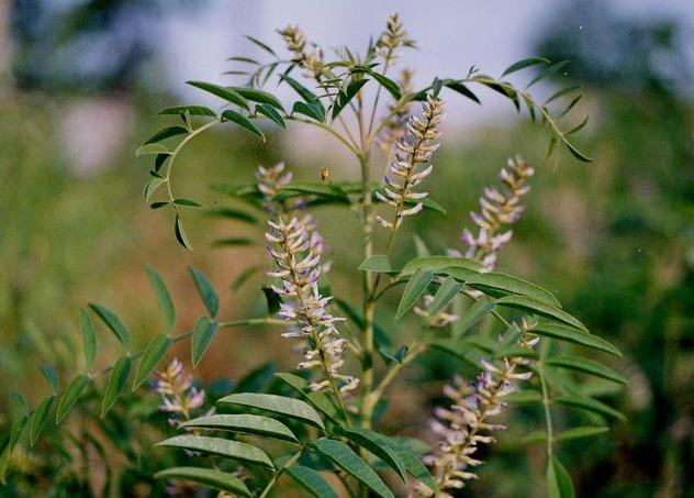 5個小本投資致富項(xiàng)目介紹，輕松月入萬元不是夢