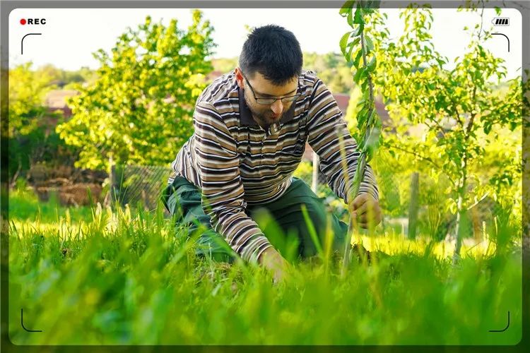 創(chuàng)業(yè)課堂分享決定回農村搞種植賺錢項目有哪些推薦