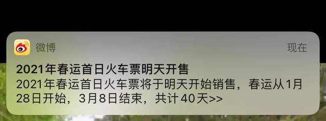 網(wǎng)賺項目加,過年剛需項目，利用信息差日賺500+，代購火車票了解下！