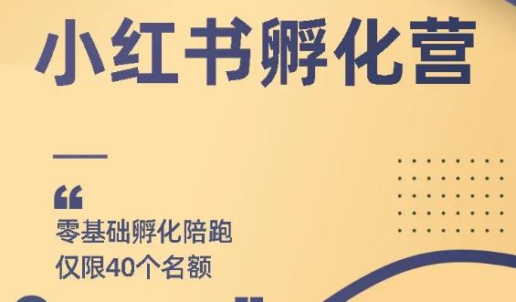 勇哥小紅書擼金快速起量項目：教你如何快速起號獲得曝光，做到月躺賺在3000+,網(wǎng)賺項目是什么意思