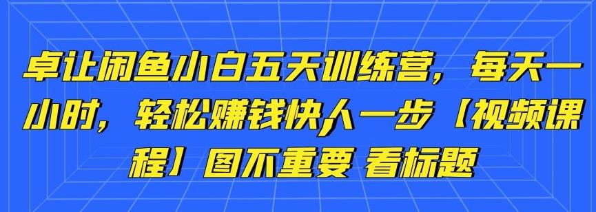 卓讓閑魚(yú)小白五天訓(xùn)練營(yíng)，每天一小時(shí)，輕松賺錢(qián)快人一步【視頻課程】