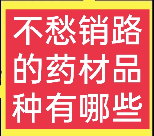 銷(xiāo)路好的短期種植，農(nóng)村種植哪些藥材比較簡(jiǎn)單，不愁銷(xiāo)路？這五種值得一試