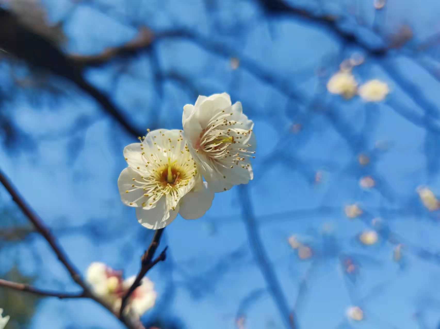 工作中心態(tài)的重要性，職場人應(yīng)避免的6種職場心態(tài)都是什么